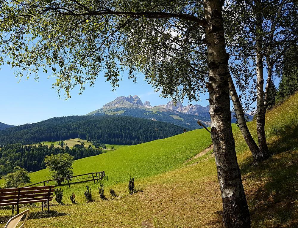 Ciasa Alpina Relax Hotel Moena Bagian luar foto